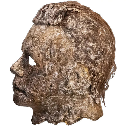 Halloween Ends™ Michael Myers Adults Overhead Latex Mask - One Size