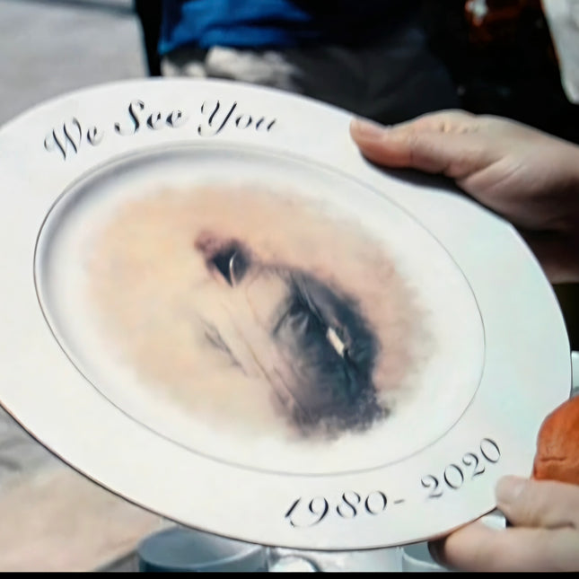 SCREEN USED Translucent Plate from The Boys