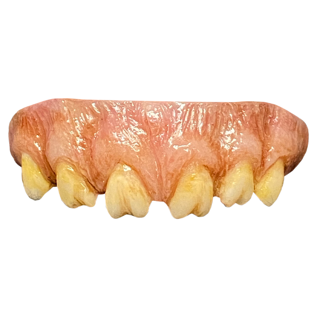 The Texas Chainsaw Massacre (1974) - Leatherface Teeth