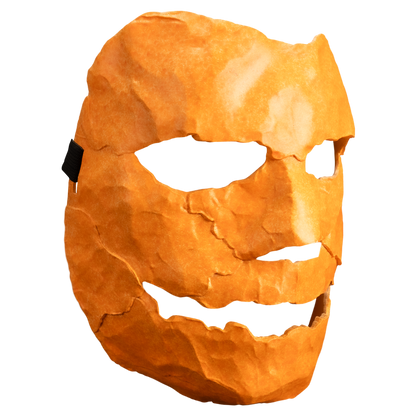 Adults Rob Zombie's Halloween™ (2007) Michael Myers Asylum Mask - City Morgue Toys & Collectibles