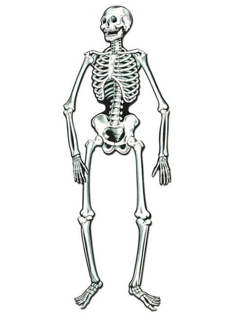 Jointed Posable Skeleton Cutout 22" - City Morgue Toys & Collectibles
